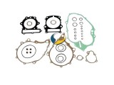 Dichtsatz Motor komplett Athena P40 0485 850 610 - Dichtsatz Kpl.
