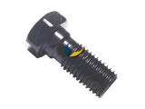 Hohlschraube einfach M10x1,25mm schwarz 25-402008 - Stahlflex Kupplungsschlauch
