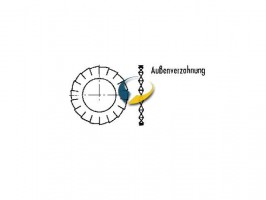 F&auml;cherscheiben au&szlig;en gezahnt M8 - 15Stk